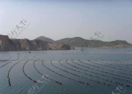 海景养殖区图片