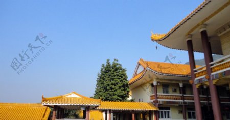 深圳仙湖植物园弘法寺图片