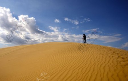 金色的沙漠和蓝天白云下的游客图片