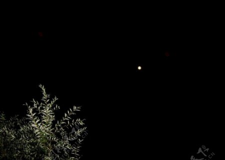 中秋月夜图片