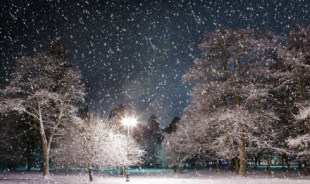 冬季公园雪夜图片