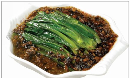 油麦菜豆豉鲮鱼油麦菜图片