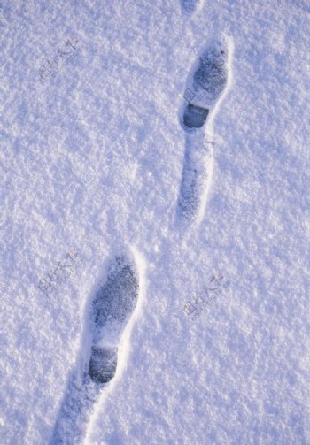 冬季雪景高清图片