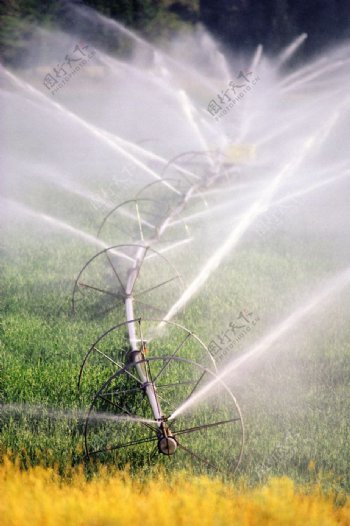 灌溉图片