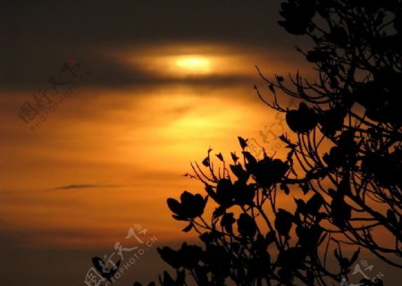 西子湾夕阳图片