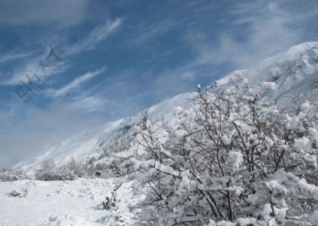 高山雪境图片