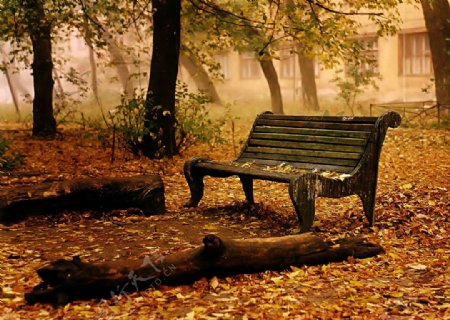 秋色座椅图片