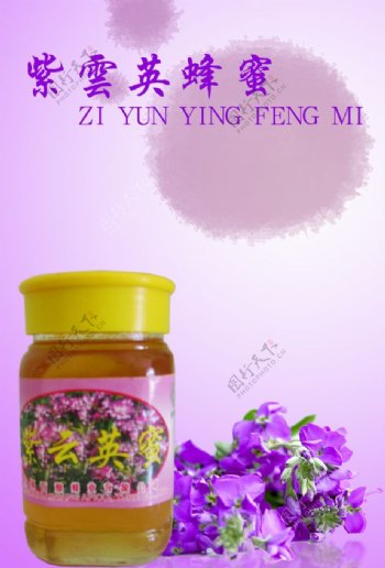 紫云英蜂蜜图片