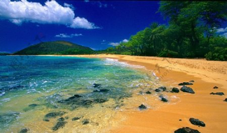 夏威夷黄金海滩图片