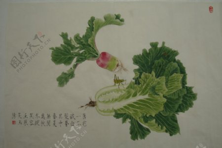 吴玉阳工笔画蔬菜图片