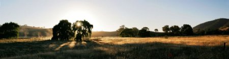远山夕阳树木草原图片