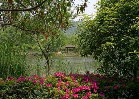 杭州生态修复公园图片