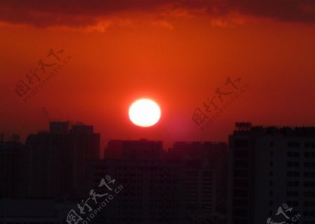 夕阳红图片