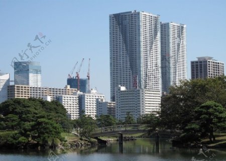 幽雅的日本城区湖畔建筑景观图片