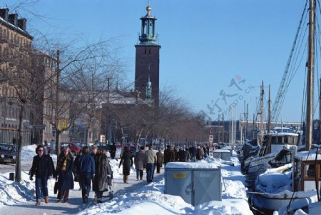 街道上的冬天图片