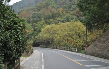 路边风景图片