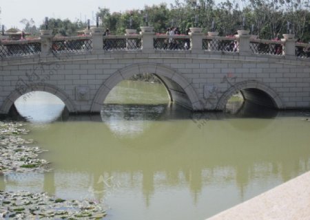 桥水图片