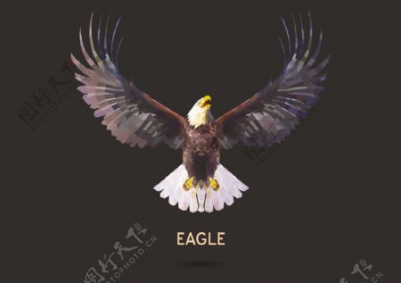 老鹰logo图标图片