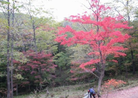 吉林风光图片