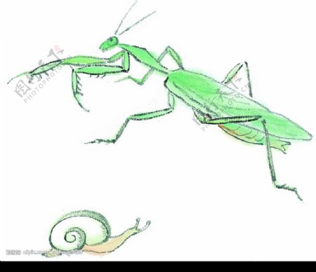 水墨风格的螳螂图片