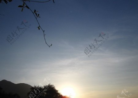 梧桐山夕阳图片