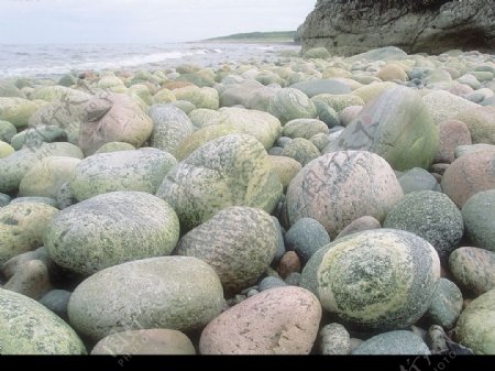 海边岩石特写图片