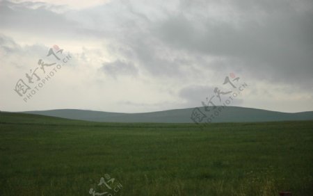 雨天的大草原图片