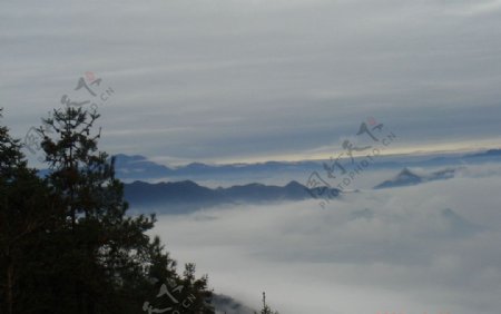 云雾黄山图片