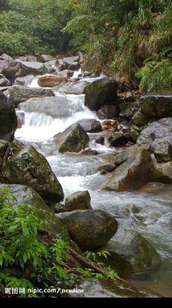 草嶺古道溪流图片