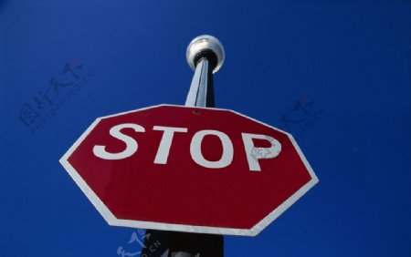 STOP路牌图片