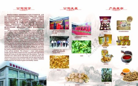 核茶叶桃宣传折页图片