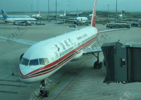 飞机上海航空机场图片