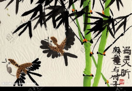 麻雀与竹子图片