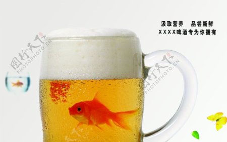 啤酒杯啤酒创艺广告图片