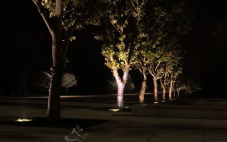 LED地埋灯公园图片