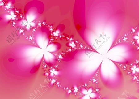 日式桃红花语图片