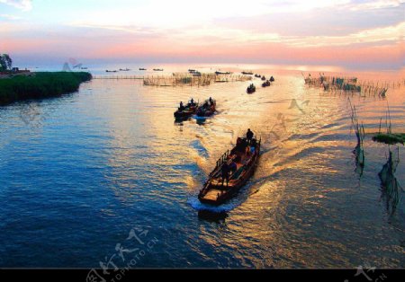 太湖美景湖水阳光船图片