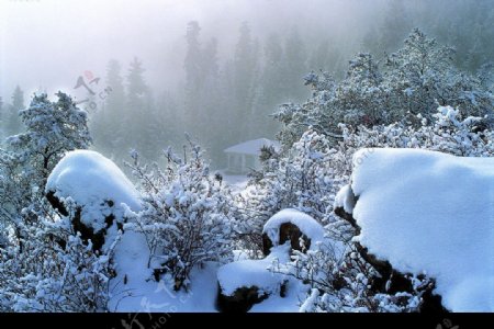 天池之雪景如画图片