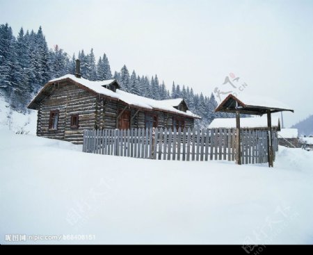 冬景迷人树木房屋图片