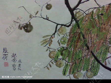 越南水果画绿河图片