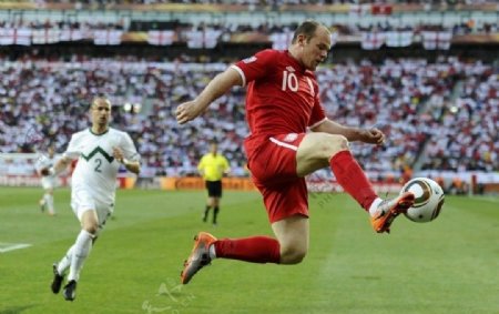 鲁尼英格兰2010世界杯图片