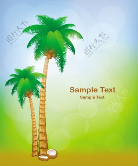 夏日梦幻椰子树背景图片