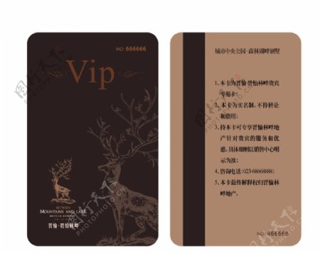 VIP贵宾卡图片