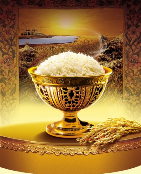 金色背景米饭图片