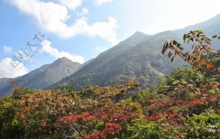 美丽的高州三官山风景图片