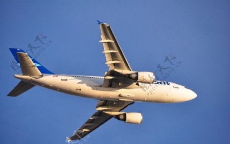 空客A310远程客机图片
