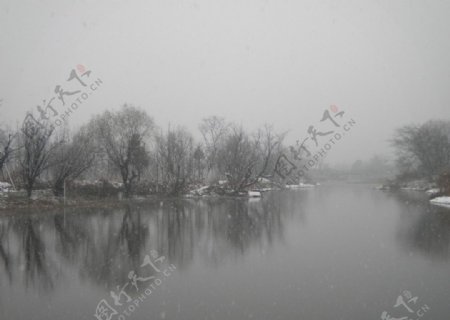 雪中树影图片