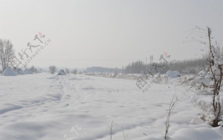 雪景1图片