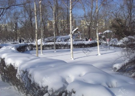 冬天的公园图片