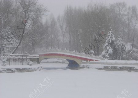 雪中的小桥图片